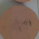 دوائر خشب بلاكاش