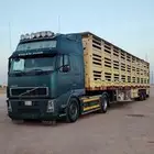 تريلا نقل مواشي لتحميل إلى جميع مناطق المملكه
