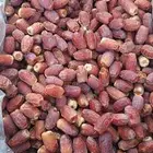 يوجد صقعي مبروم 12كرتون موز