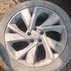 جنوط صيني شان جان 2022