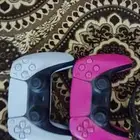القنفذة