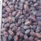 يوجد خضري طيب طيب