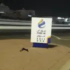 السلام علي م خطاط انس