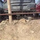قطع غيار السيارات