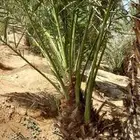 يوجد لدينا فسايل مصيفات ممتازه