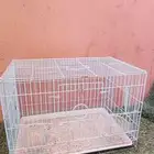 شبك طيور