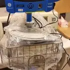 خبر هام و عاجل علامات حيوية أمريكي