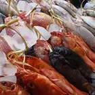 available fish fish market yanbu  shop no  30