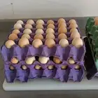 بيض دجاج فرنسي وعربي مائده