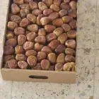 يوجد لدينا سكري رطب 1000 كرتون السعر 20 ريال الموقع الزلفي