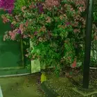 مشاتل حي الملك فهد