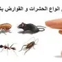 شركة مكافحة حشرات ورش مبيدات بضمان