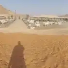 بيع سواكن جمله مرابي جميع الأحجام