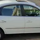 هونداي ازيرا
