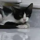 جنوب الرياض