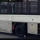 دينا للايجار