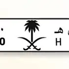 لوحة مميزة ( البيع سمح )