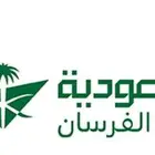 الفرسان الخطوط السعودية