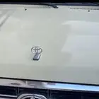 كبوت شاص ربع شد البلد بيج