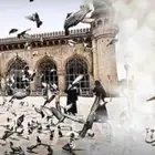 خياط نسائي للتنازل
