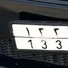 Distinctive plate  1333