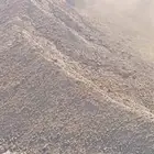 سماد بقري و دواجن