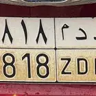 لوحة للبيع د د م 8818
