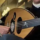 تعليم عود ( خصم 50   )