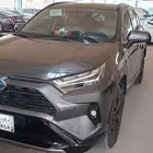 راف فور نص فل