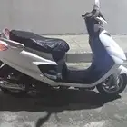 دباب