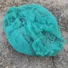 أغطية ثمرة نخيل