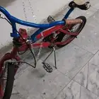 سيكل كوبرا