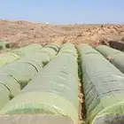 بيوت محميه للتقبيل
