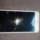 تيماء تبوك