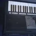 حائل