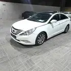 سونانا 2014 بالاحساء