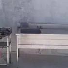 محافظة بدر