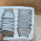 درزن فناجيل قهوه قديمه