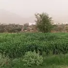 محايل عسير قريه تل فاهمه