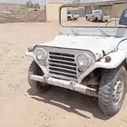 جيب ريو 1974