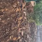 منتجات اغنام ودجاج