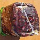 تمر حلوة الجوف للبيع