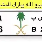 تم البيع لوحة مميزة ه ص ب 66