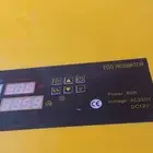 فقاسه بيض