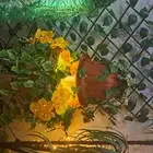 نافورة وردة الشمس