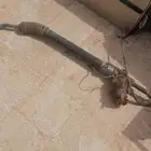 مجموعه دركسون لكزس 98 للبيع كذالك أبواب اكورد 98
