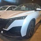 دونج فينج ميج 2025