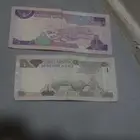 الرياض