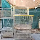 مجموعة اقفاص   استاند