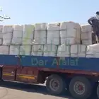 برسيم الراعي في بيشه